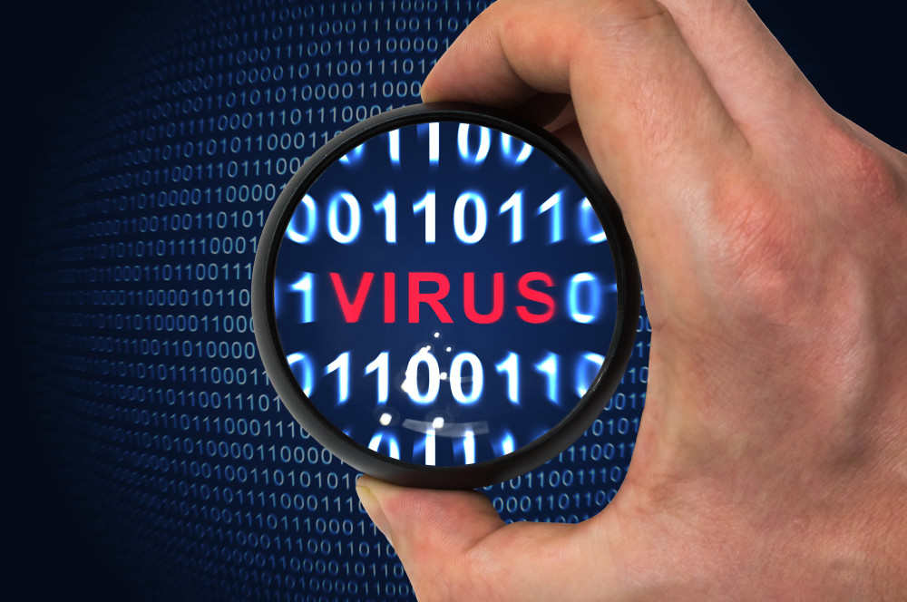 Top 5 New Viruses You Need to Know About